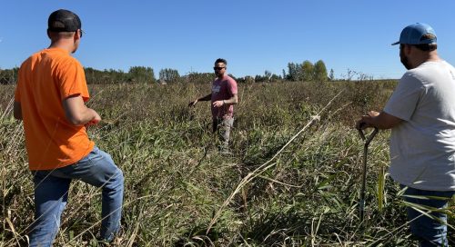 Three men standing in a pollinator planting