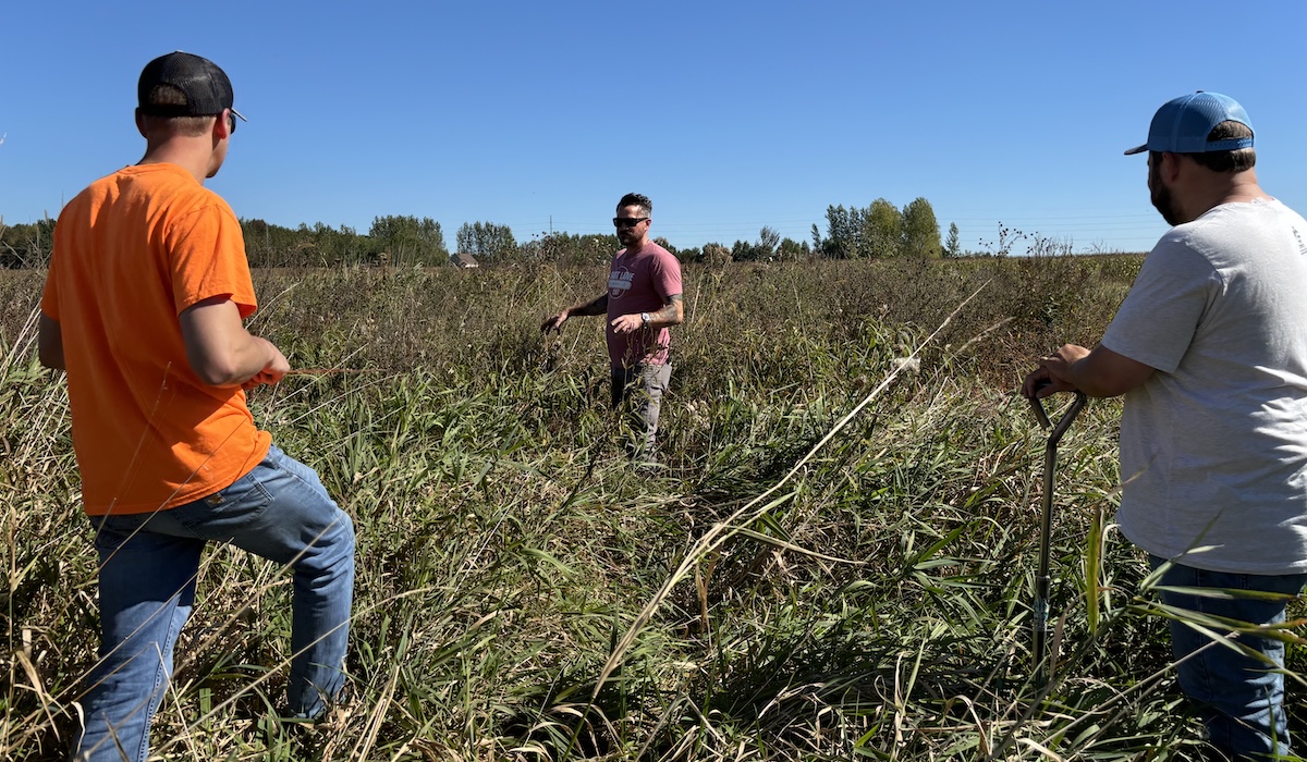Three men standing in a pollinator planting