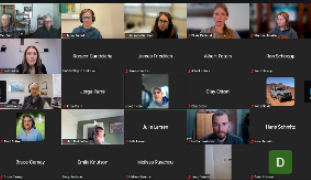 Screenshot of a Zoom meeting