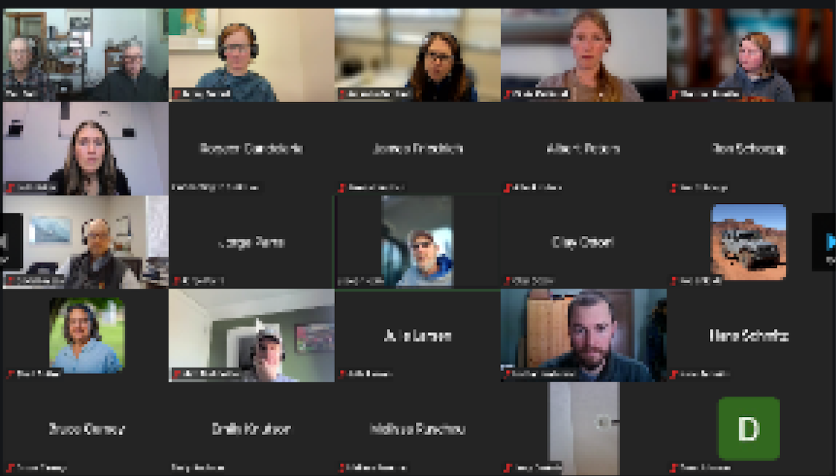 Screenshot of a Zoom meeting